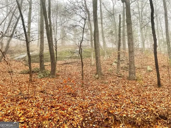 0 Fox Mountain Road, Hiddenite, NC 28363