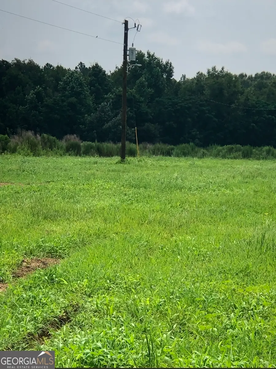 0 Mosley Road, Uvalda, GA 30473 - #3