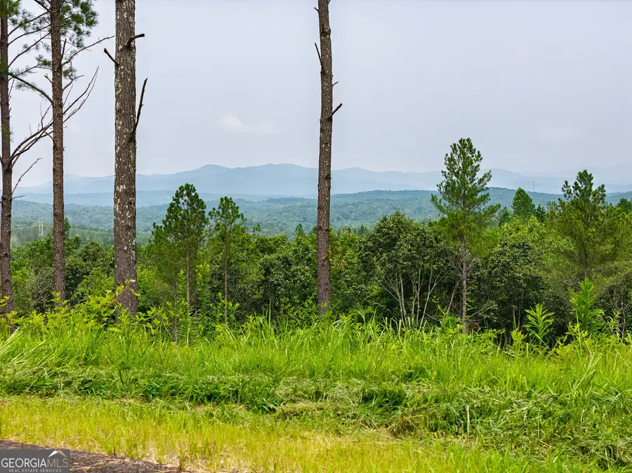 LOT 63 Lacey Springs Lane, Ellijay, GA 30540 - #2