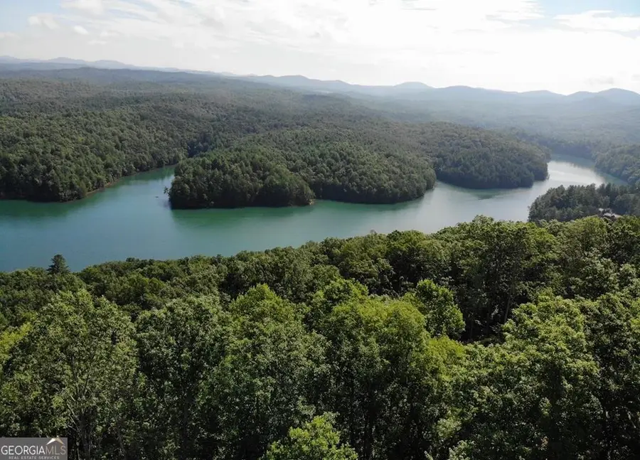 #139 Genessee Path, Blue Ridge, GA 30513 - #2