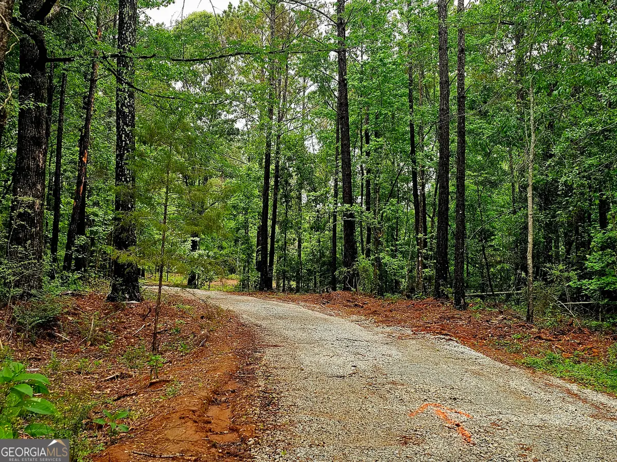 0 School House Hill Road, Franklin, GA 30217 - #1