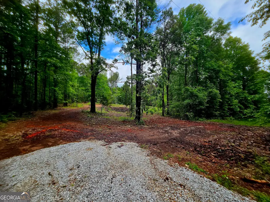 0 School House Hill Road, Franklin, GA 30217 - #3