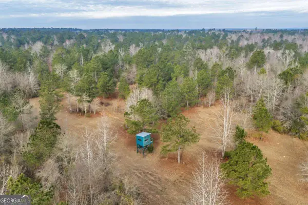 241 Foskey Cemetary Road, Adrian, GA 31002