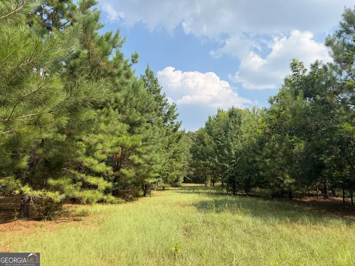 014 S Carter Fish Pond Road, Plains, GA 31780 - #1