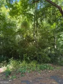 0 Windsor Way, Newnan, GA 30263