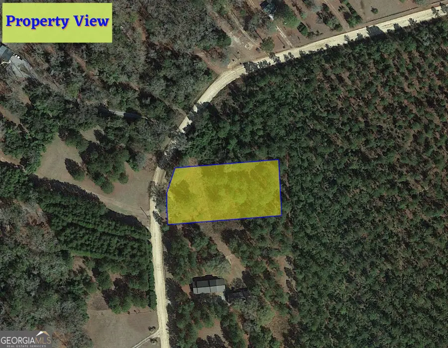 1 Jenny Lynn Lane, Fort Gaines, GA 39851 - #1