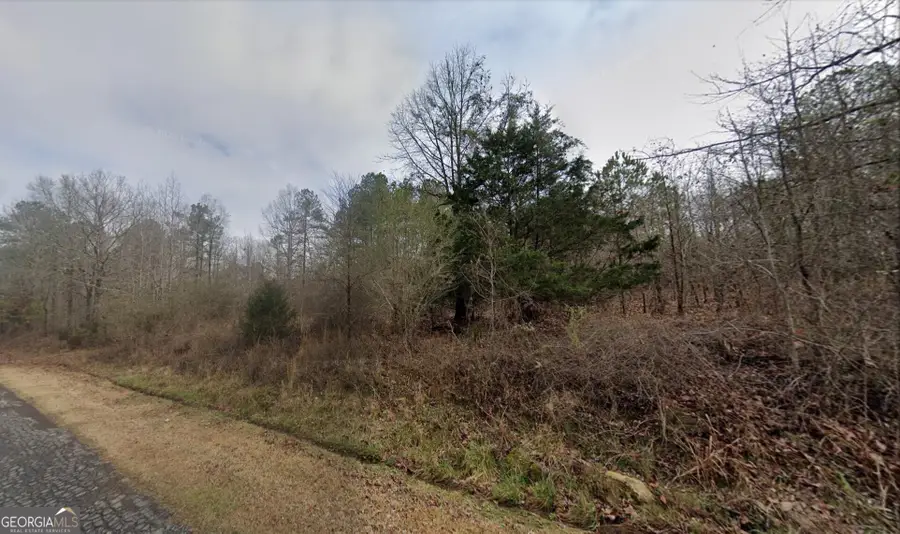 193 Nathan Thaxton Road, Jackson, GA 30233 - #2