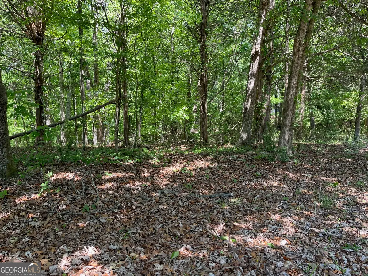 TRACT 1A Chalcrest Way, Cave Spring, GA 30124 - #1