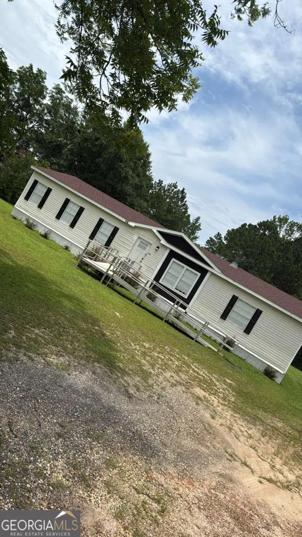 1074 Faceville Attapulgus Road, Attapulgus, GA 39815