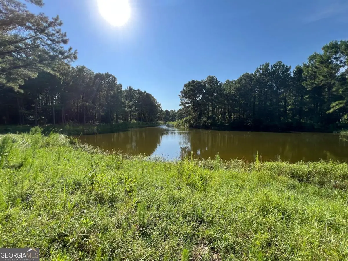 V/L 527 Beacon Pointe Parkway, Waverly, GA 31565 - #1