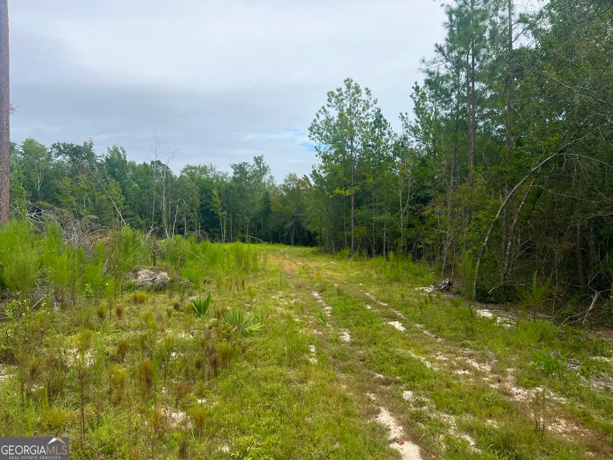 0 Old Ailey-lothair Road, Mount Vernon, GA 30445 - #1