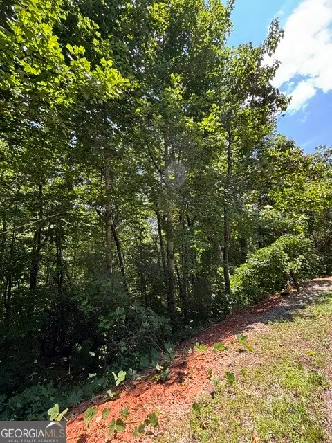LOT #5 King Mountain Drive, Clayton, GA 30525 - #3