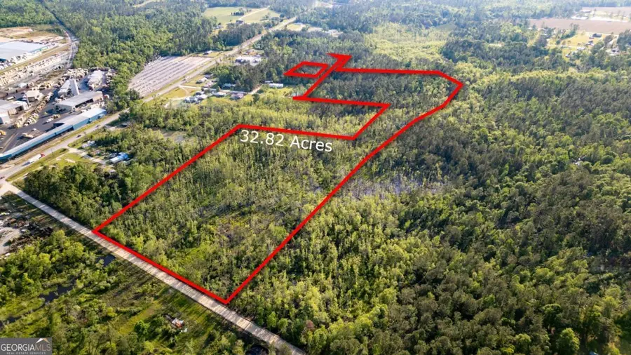 0 Walter Phillips Road, Hazlehurst, GA 31539 - #3
