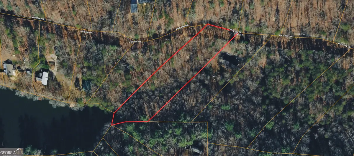0 White Pine Creek, Demorest, GA 30535 - #1