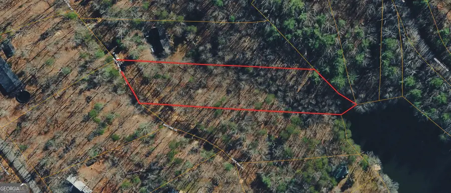 0 White Pine Creek, Demorest, GA 30535 - #3