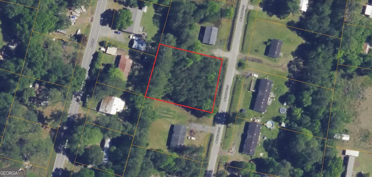 0 Jim Truesdell Road, Darien, GA 31305 - #1