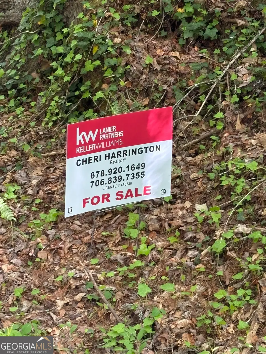 0 Western Way, Rabun Gap, GA 30568 - #3