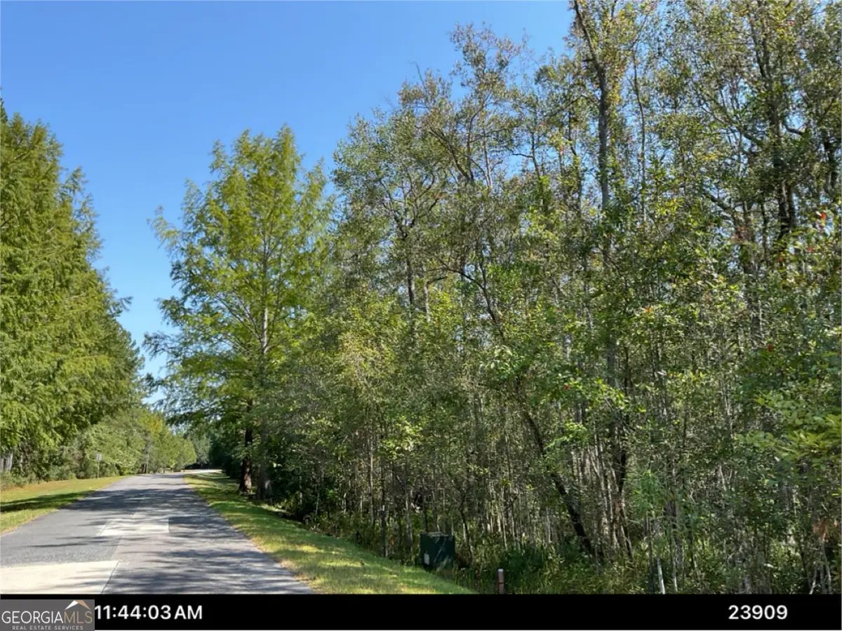 LOT 163 La Terra Lane, Waverly, GA 31565 - #1