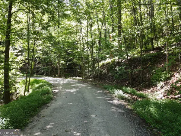 0 Bald Eagle Path, Cleveland, GA 30528