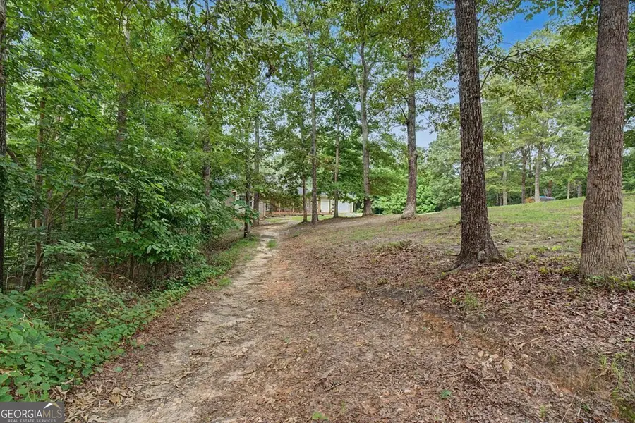 295 Josie Lane, Canton, GA 30114 - #2
