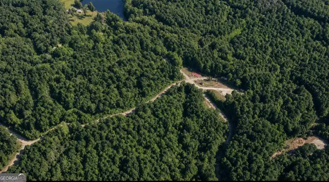 0 Grandview Point, Ellijay, GA 30536 - #3