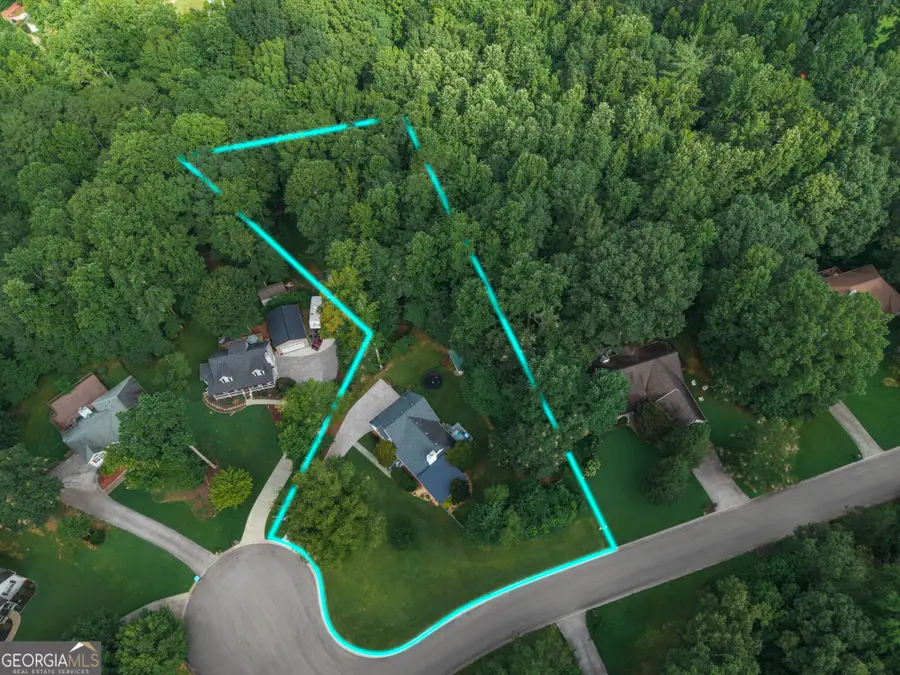 309 Calusa Place, Ball Ground, GA 30107 - #2