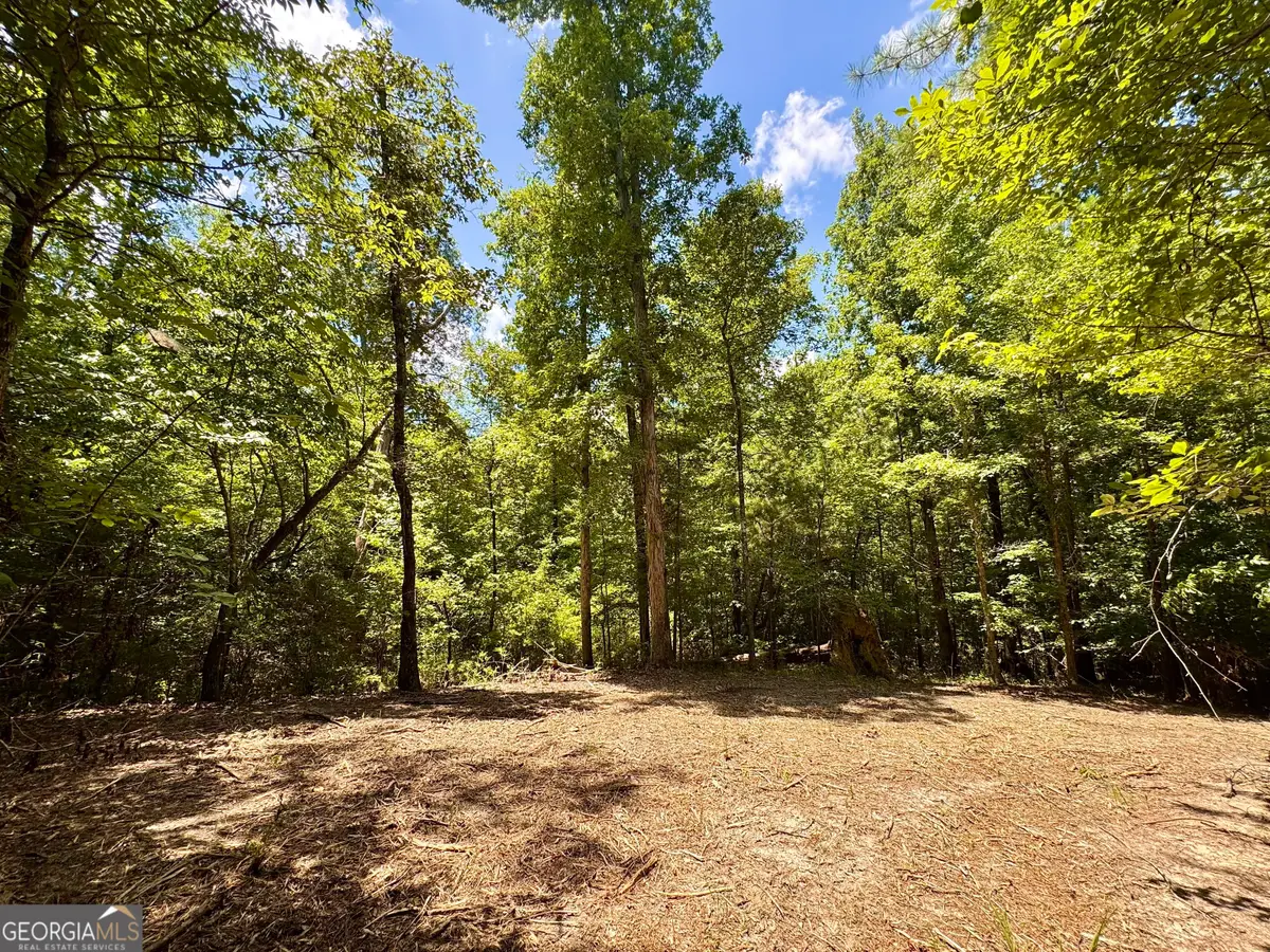 2 Roy Lawrence Road, Sparta, GA 31087 - #1