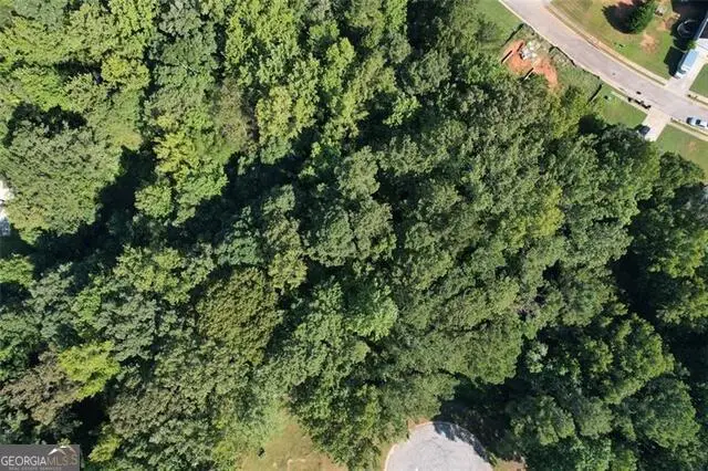 9142 Ford Street Sw, Covington, GA 30014 - #3