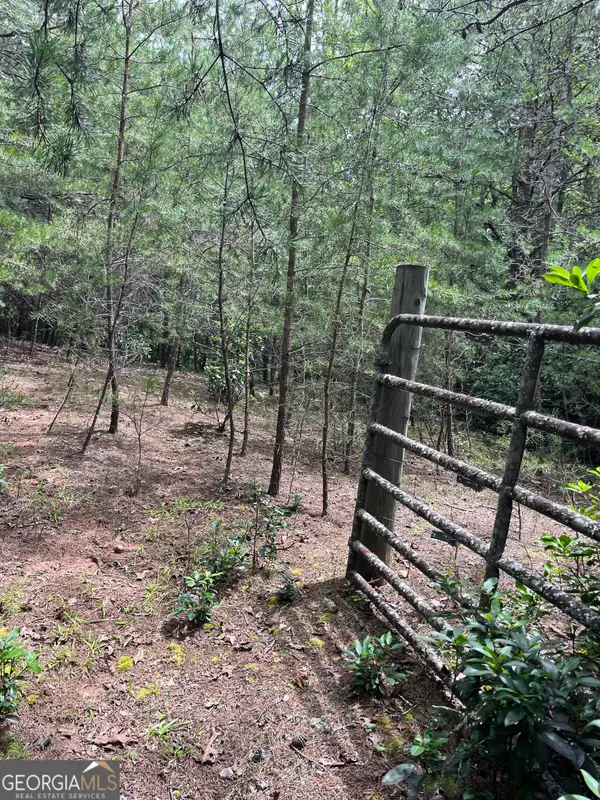 0 Windy Ridge, Otto, NC 28763