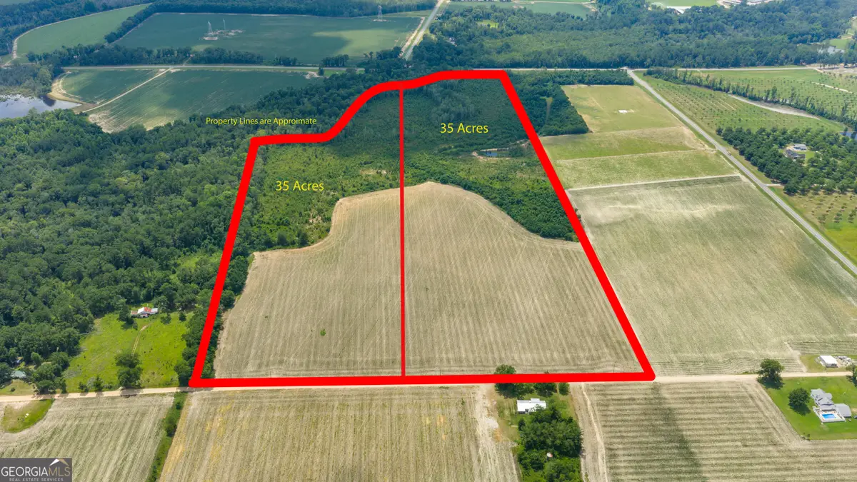TRACT 2 Wade Aycock Road, Surrency, GA 31563 - #1
