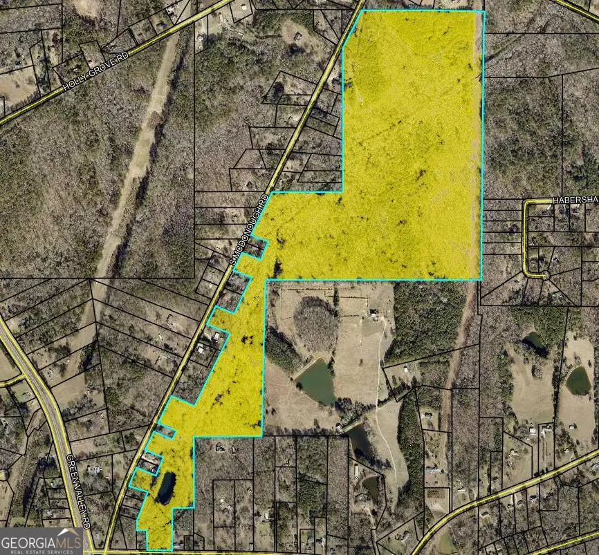 1693 S Mcdonough Road, Griffin, GA 30224 - #1