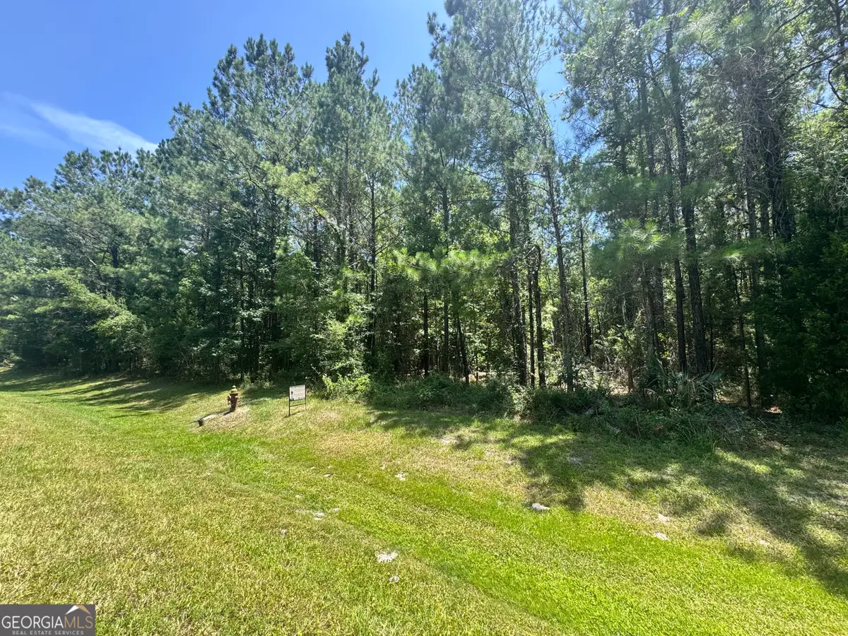 LOT 88 La Sole Lane, Waverly, GA 31565 - #1
