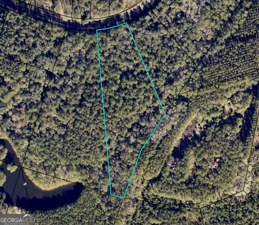 LOT 88 La Sole Lane, Waverly, GA 31565 - #2