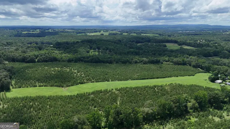 LOT 1 Stateline Road, Bowdon, GA 30108 - #3