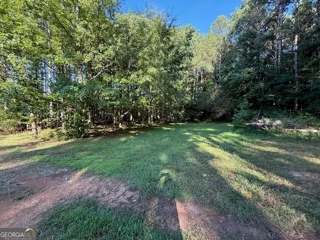 476 Berry Road, Cedartown, GA 30125 - #3
