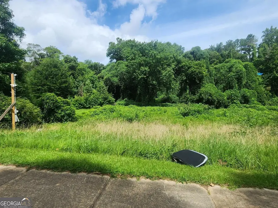 2233 Macon Drive Sw, Atlanta, GA 30315 - #3