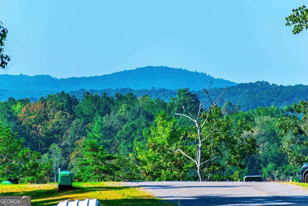 LOT 50 Jakes Landing Way, Ellijay, GA 30540 - #1