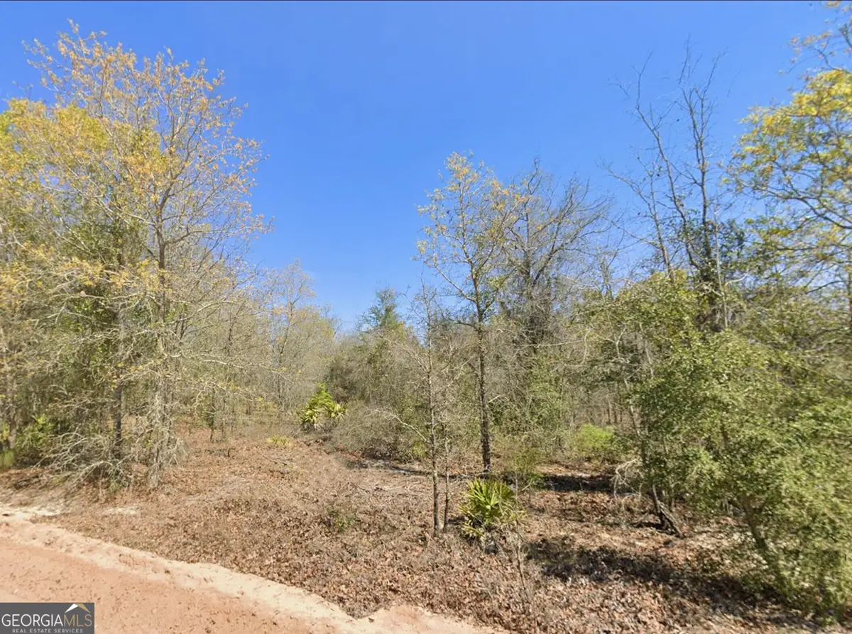 0 Mixon Lane, Douglas, GA 31535 - #1