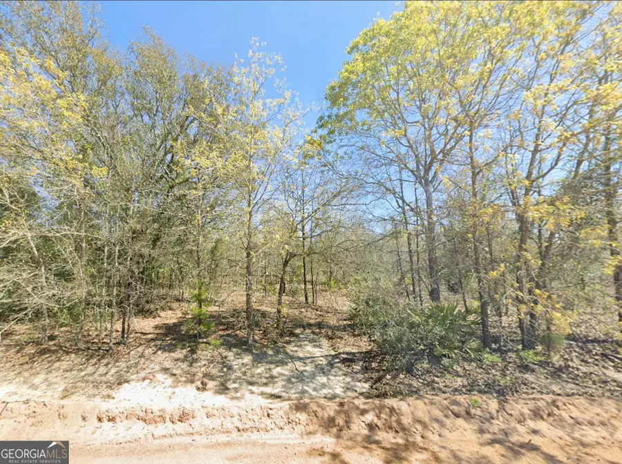 0 Mixon Lane, Douglas, GA 31535 - #2