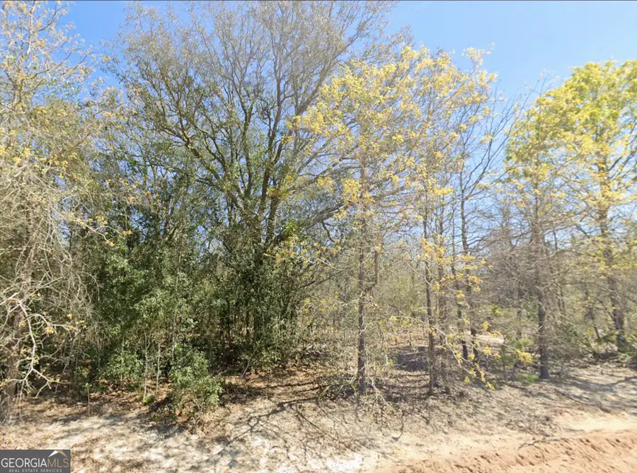 0 Mixon Lane, Douglas, GA 31535 - #3