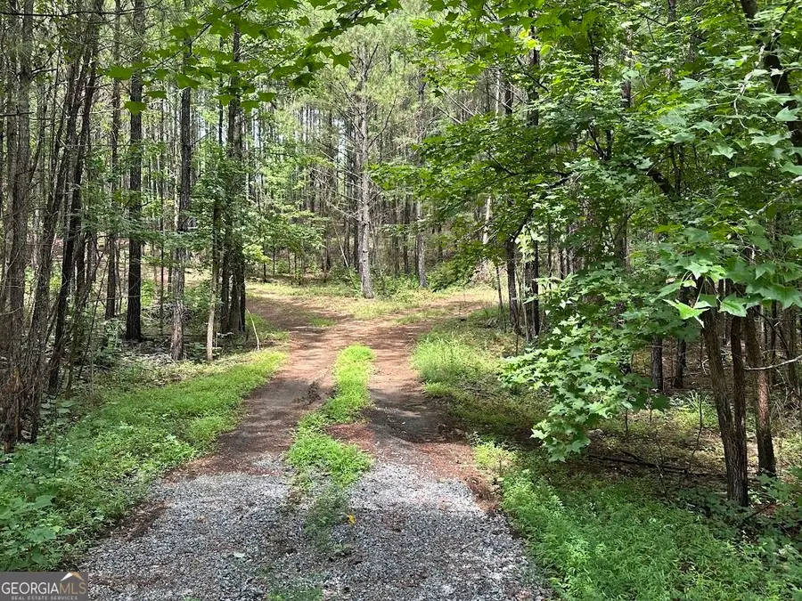 0 Ferry Road, Franklin, GA 30217 - #2