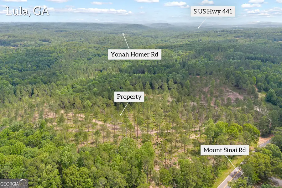 0 Mt. Sinai #LOT 9, Lula, GA 30554 - #3