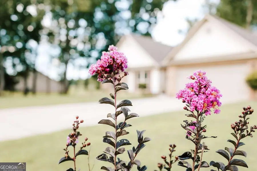 296 Highlands Drive, Winterville, GA 30683 - #3