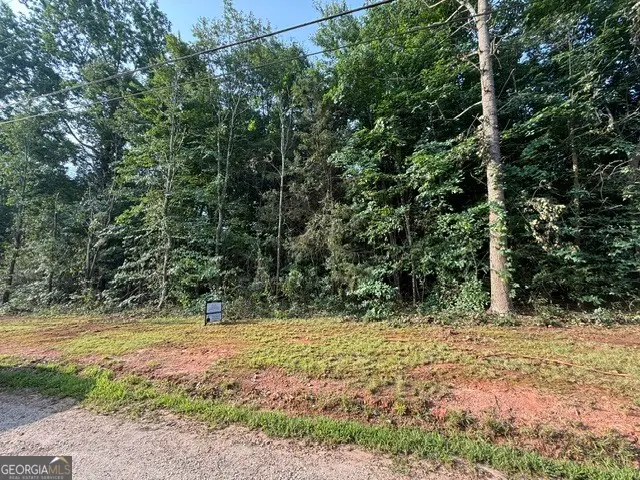 LOT 113 Normandy Trail, Lavonia, GA 30553 - #3