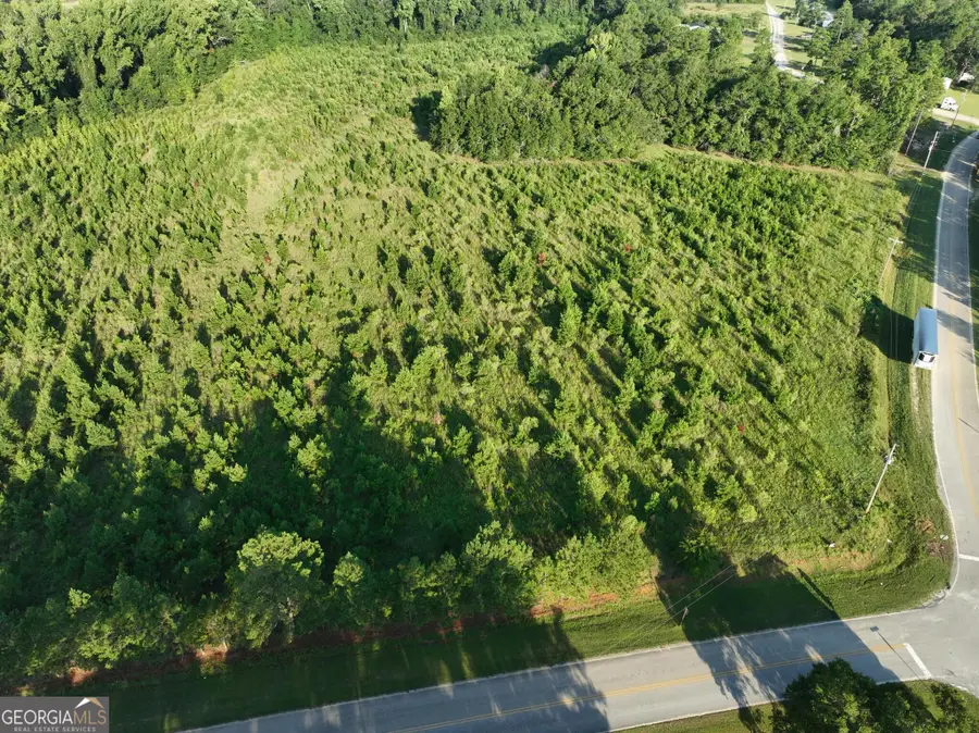0 Ben Grady Collins Road, Portal, GA 30450 - #2