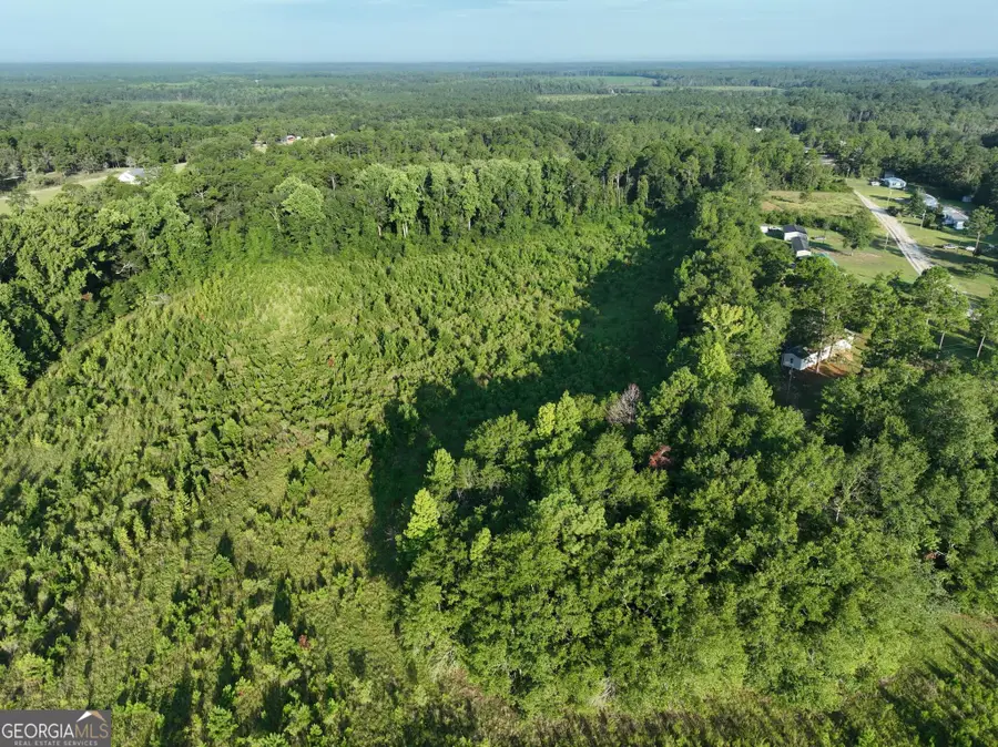 0 Ben Grady Collins Road, Portal, GA 30450 - #3