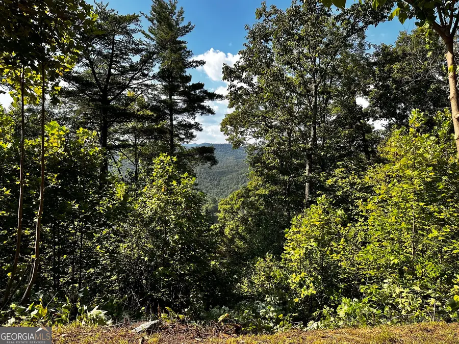 LOT J-12 Winterberry Trail, Clayton, GA 30525 - #2