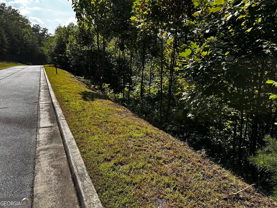 LOT J-12 Winterberry Trail, Clayton, GA 30525 - #3
