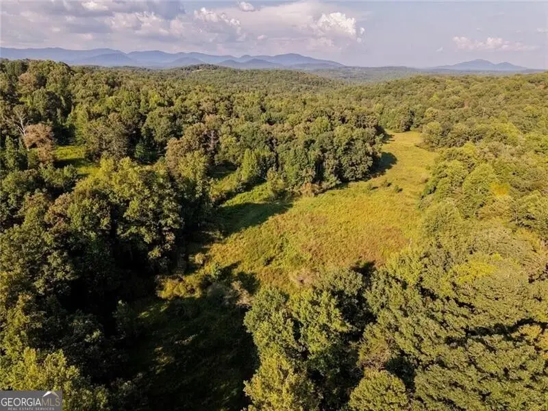 LOT A Porter Springs Road, Dahlonega, GA 30533 - #3