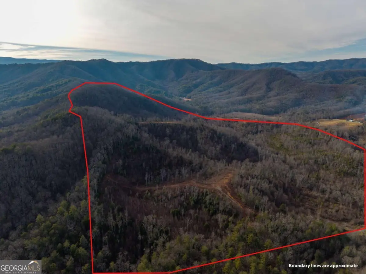 156+ Higdon Creek Road, Blue Ridge, GA 30513 - #1